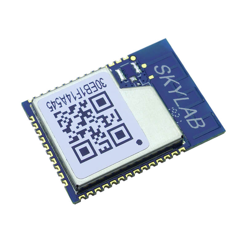 i2s WiFi module