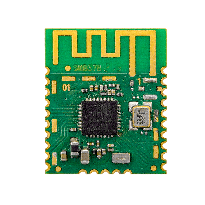 Custom Bluetooth Module 2022