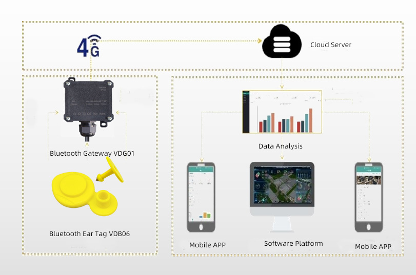 Bluetooth Ear Tag Tracking System for Cattle and Sheep