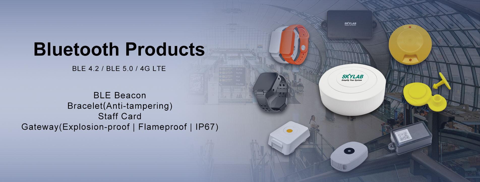 Bluetooth products